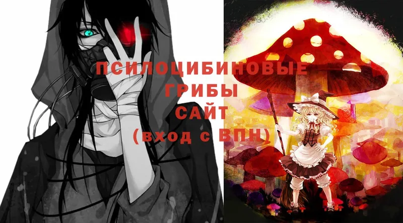 Где купить наркотики Приморско-Ахтарск ГАШИШ  COCAIN  LSD-25  Мефедрон  АМФЕТАМИН 